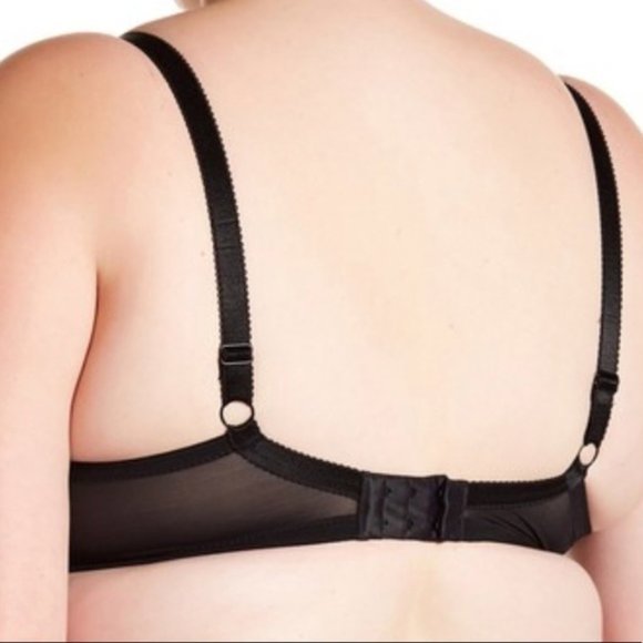 The Charlotte Padded 3 Part Cup Brain Woodrose 44E - Picture 3 of 8